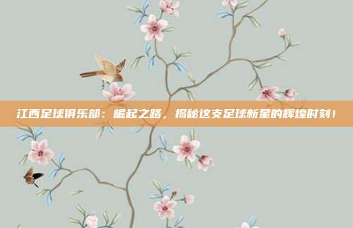 江西足球俱乐部：崛起之路，揭秘这支足球新星的辉煌时刻！