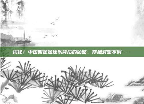 揭秘!中国明星足球队背后的秘密,你绝对想不到……