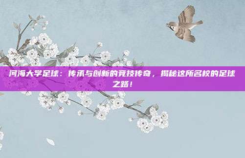 河海大学足球：传承与创新的竞技传奇，揭秘这所名校的足球之路！
