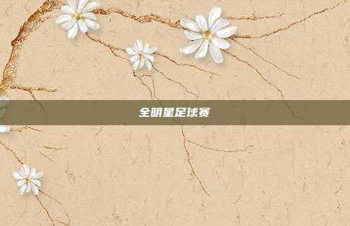 全明星足球赛