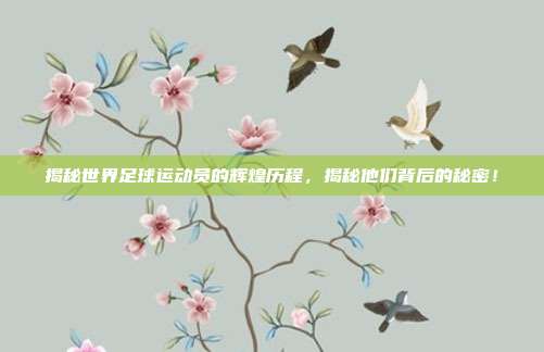 揭秘世界足球运动员的辉煌历程,揭秘他们背后的秘密!