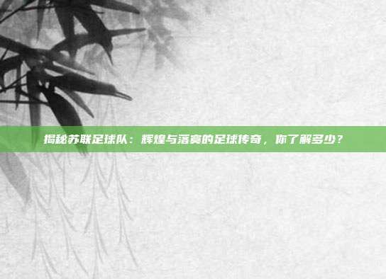 揭秘苏联足球队:辉煌与落寞的足球传奇,你了解多少?