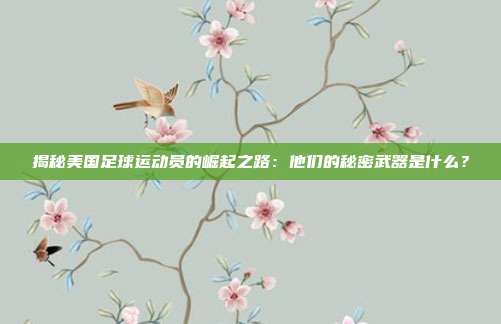 揭秘美国足球运动员的崛起之路：他们的秘密武器是什么？
