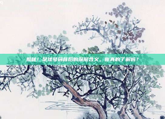 揭秘！足球号码背后的深层含义，你真的了解吗？