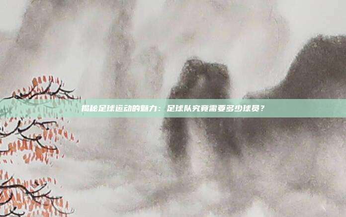 揭秘足球运动的魅力：足球队究竟需要多少球员？