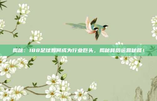 揭秘:188足球如何成为行业巨头,揭秘背后运营秘籍!