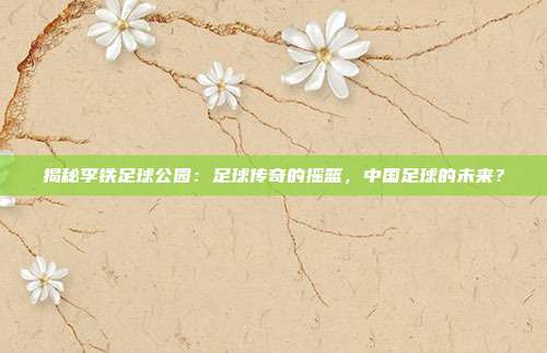 揭秘李铁足球公园:足球传奇的摇篮,中国足球的未来?