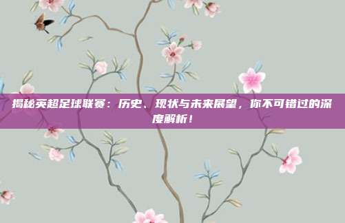 揭秘英超足球联赛：历史、现状与未来展望，你不可错过的深度解析！