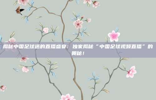 揭秘中国足球迷的直播盛宴：独家揭秘“中国足球视频直播”的奥秘！