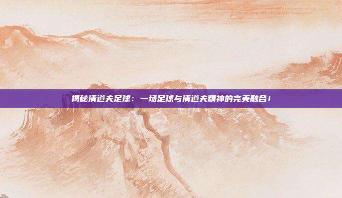 揭秘清道夫足球：一场足球与清道夫精神的完美融合！