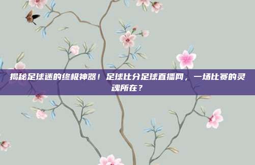 揭秘足球迷的终极神器！足球比分足球直播网，一场比赛的灵魂所在？