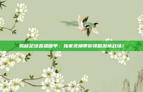 揭秘足球直播德甲：独家视角带你领略激情战场！