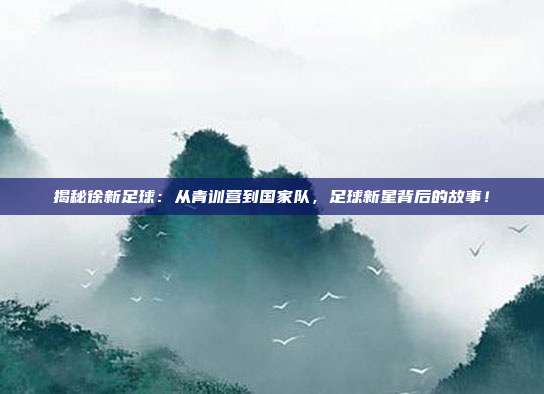 揭秘徐新足球:从青训营到国家队,足球新星背后的故事!