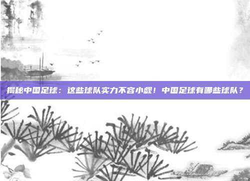 揭秘中国足球：这些球队实力不容小觑！中国足球有哪些球队？