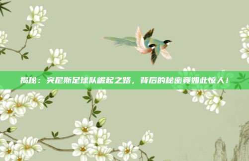 揭秘：突尼斯足球队崛起之路，背后的秘密竟如此惊人！