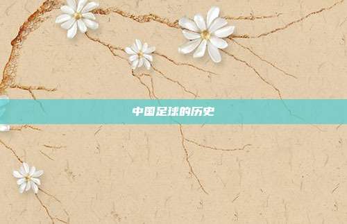 中国足球的历史