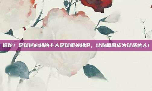 揭秘!足球迷必知的十大足球相关知识,让你瞬间成为球场达人!