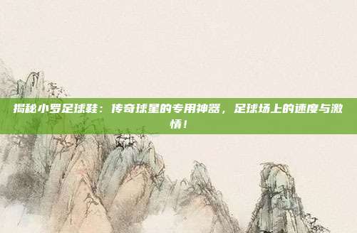 揭秘小罗足球鞋：传奇球星的专用神器，足球场上的速度与激情！
