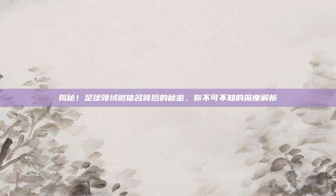 揭秘！足球领域微信名背后的秘密，你不可不知的深度解析