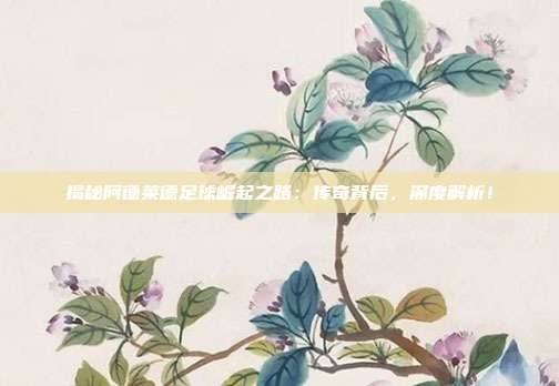 揭秘阿德莱德足球崛起之路：传奇背后，深度解析！