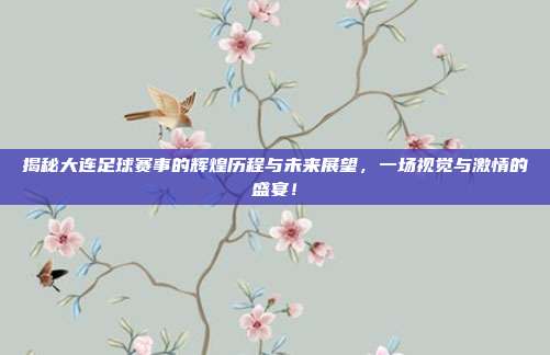 揭秘大连足球赛事的辉煌历程与未来展望，一场视觉与激情的盛宴！