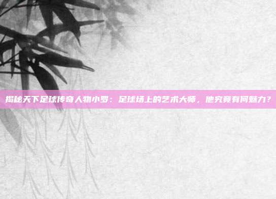 揭秘天下足球传奇人物小罗:足球场上的艺术大师,他究竟有何魅力?