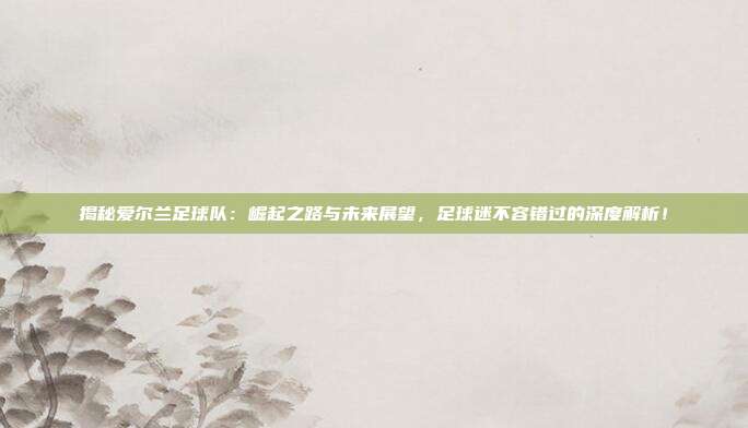 揭秘爱尔兰足球队：崛起之路与未来展望，足球迷不容错过的深度解析！