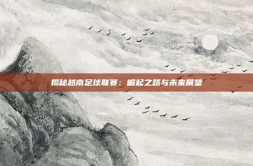 揭秘越南足球联赛：崛起之路与未来展望