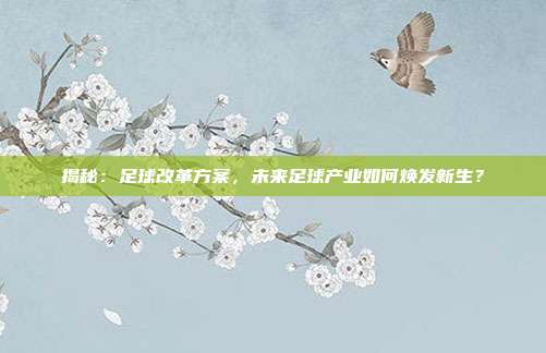 揭秘：足球改革方案，未来足球产业如何焕发新生？