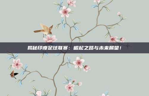 揭秘印度足球联赛:崛起之路与未来展望!