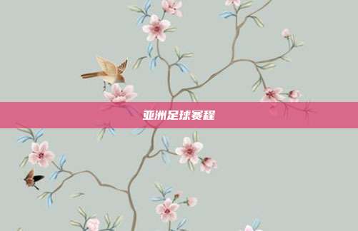 亚洲足球赛程