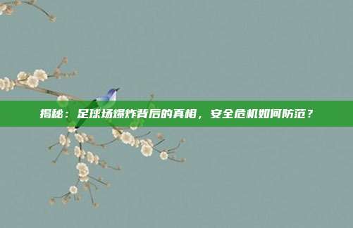 揭秘：足球场爆炸背后的真相，安全危机如何防范？