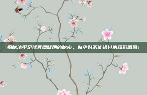 揭秘法甲足球直播背后的秘密，你绝对不能错过的精彩瞬间！