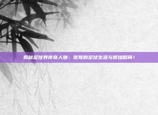 揭秘足球界传奇人物：张鹭的足球生涯与辉煌瞬间！