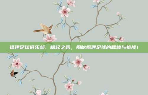 福建足球俱乐部：崛起之路，揭秘福建足球的辉煌与挑战！