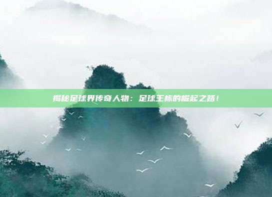 揭秘足球界传奇人物:足球王栋的崛起之路!
