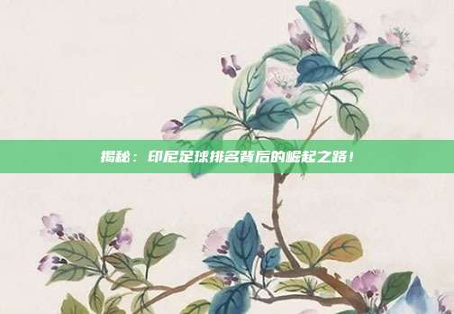 揭秘:印尼足球排名背后的崛起之路!