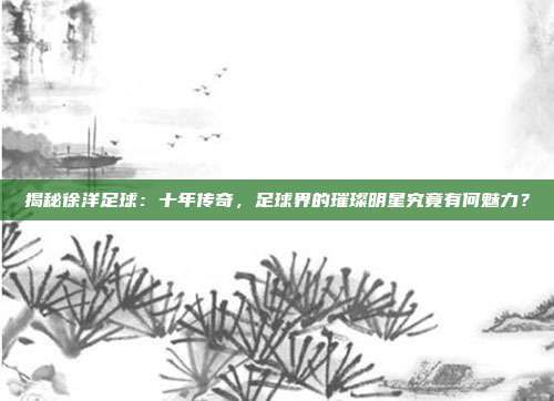 揭秘徐洋足球：十年传奇，足球界的璀璨明星究竟有何魅力？