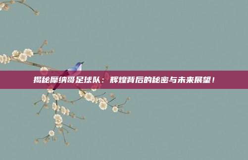 揭秘摩纳哥足球队：辉煌背后的秘密与未来展望！