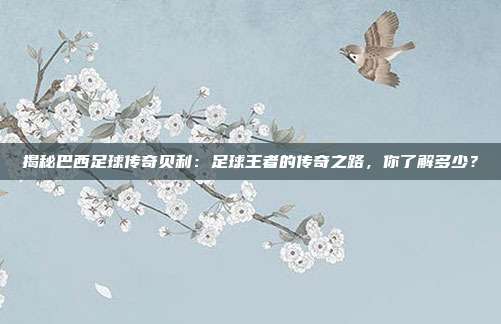 揭秘巴西足球传奇贝利:足球王者的传奇之路,你了解多少?
