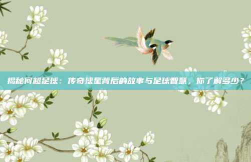 揭秘何超足球：传奇球星背后的故事与足球智慧，你了解多少？