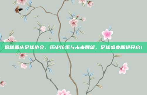 揭秘重庆足球协会：历史传承与未来展望，足球盛宴即将开启！