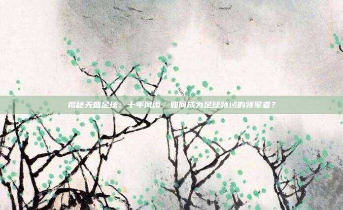 揭秘天盛足球：十年风雨，如何成为足球领域的领军者？