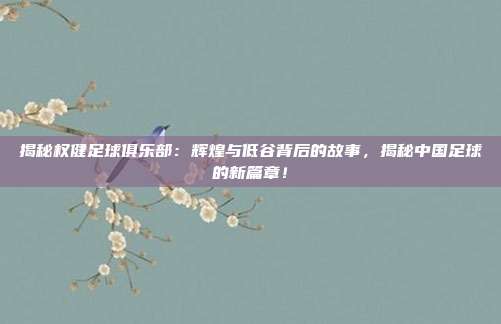 揭秘权健足球俱乐部：辉煌与低谷背后的故事，揭秘中国足球的新篇章！