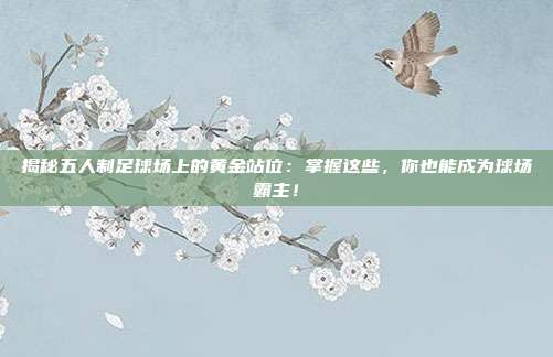 揭秘五人制足球场上的黄金站位：掌握这些，你也能成为球场霸主！