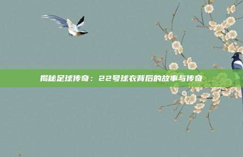 揭秘足球传奇:22号球衣背后的故事与传奇