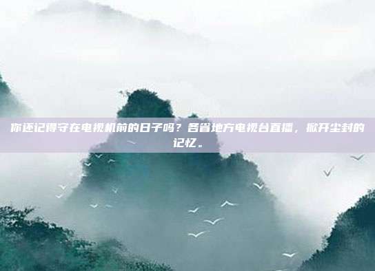 你还记得守在电视机前的日子吗？各省地方电视台直播，掀开尘封的记忆。