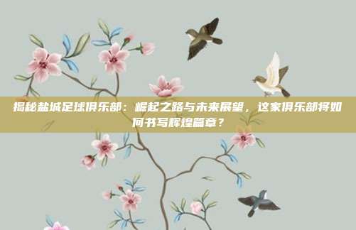 揭秘盐城足球俱乐部:崛起之路与未来展望,这家俱乐部将如何书写辉煌篇章?