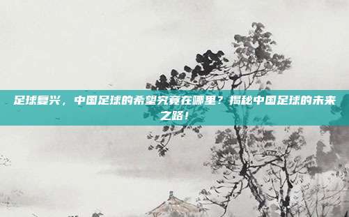 足球复兴，中国足球的希望究竟在哪里？揭秘中国足球的未来之路！
