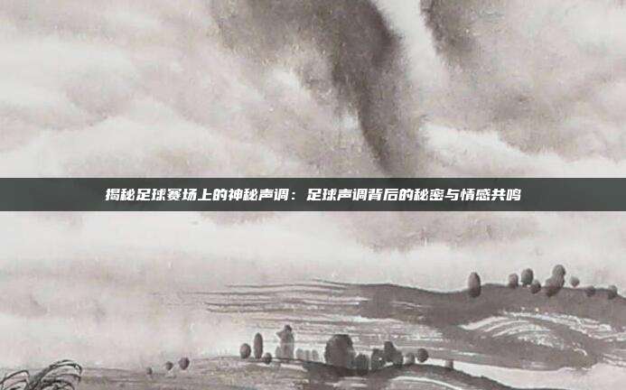 揭秘足球赛场上的神秘声调:足球声调背后的秘密与情感共鸣
